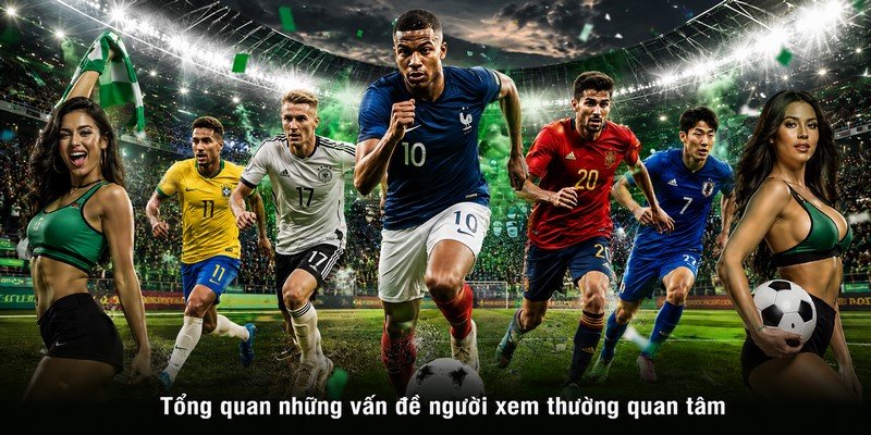 Tổng quan những vấn đề người xem thường quan tâm