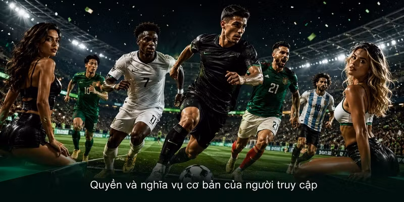 Quyền và nghĩa vụ cơ bản của người truy cập