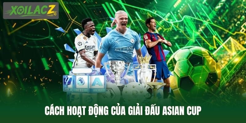 Cách hoạt động của giải đấu Asian Cup